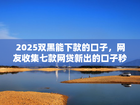 2025双黑能下款的口子，网友收集七款网贷新出的口子秒下款