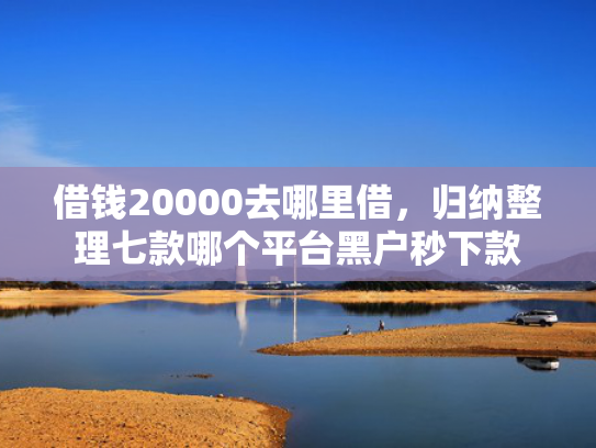 借钱20000去哪里借，归纳整理七款哪个平台黑户秒下款