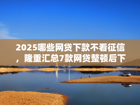 2025哪些网贷下款不看征信，隆重汇总7款网贷整顿后下款口子