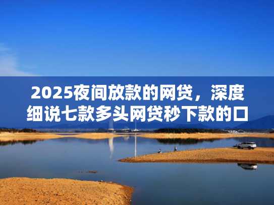 2025夜间放款的网贷，深度细说七款多头网贷秒下款的口子
