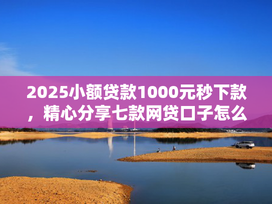 2025小额贷款1000元秒下款，精心分享七款网贷口子怎么填下款高