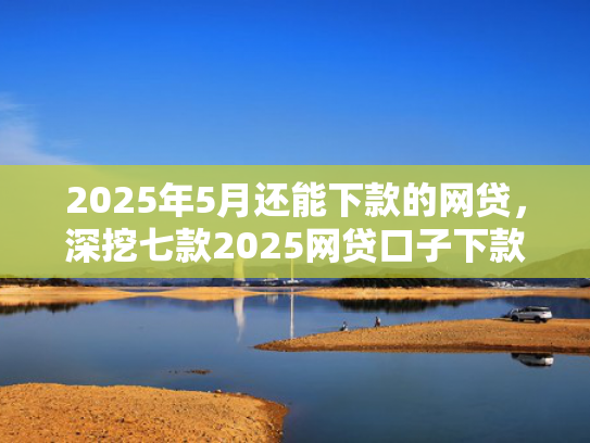 2025年5月还能下款的网贷，深挖七款2025网贷口子下款快