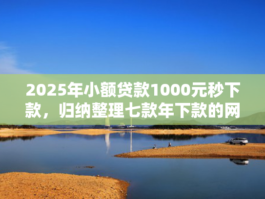 2025年小额贷款1000元秒下款，归纳整理七款年下款的网贷口子