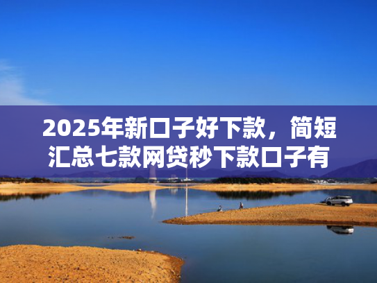 2025年新口子好下款，简短汇总七款网贷秒下款口子有