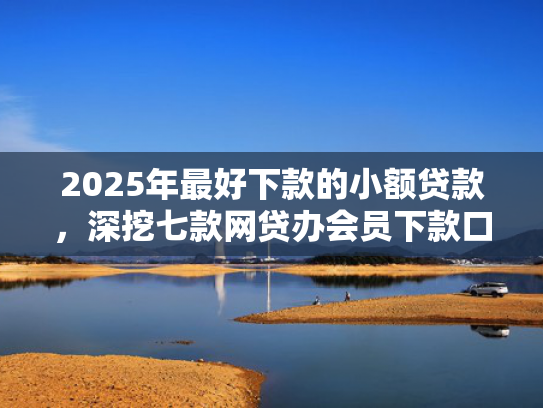 2025年最好下款的小额贷款，深挖七款网贷办会员下款口子