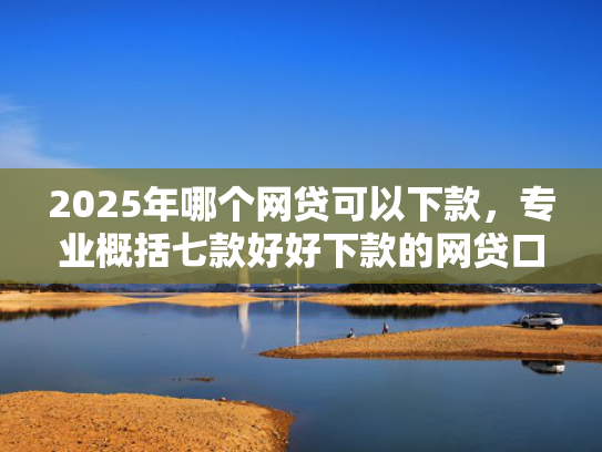 2025年哪个网贷可以下款，专业概括七款好好下款的网贷口子