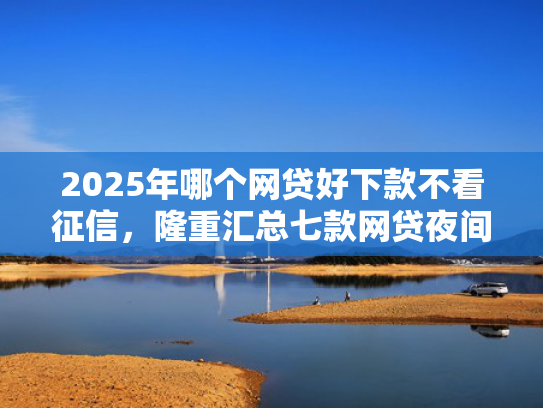 2025年哪个网贷好下款不看征信，隆重汇总七款网贷夜间下款的口子