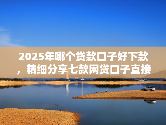 2025年哪个贷款口子好下款，精细分享七款网贷口子直接下款