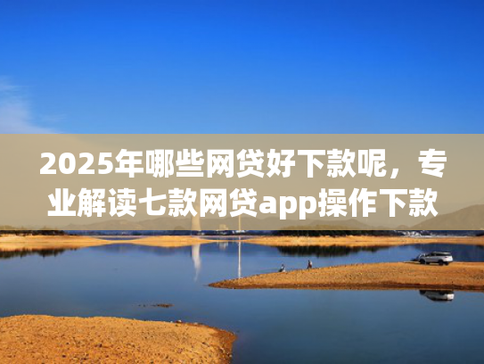 2025年哪些网贷好下款呢，专业解读七款网贷app操作下款口子