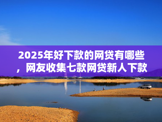2025年好下款的网贷有哪些，网友收集七款网贷新人下款口子