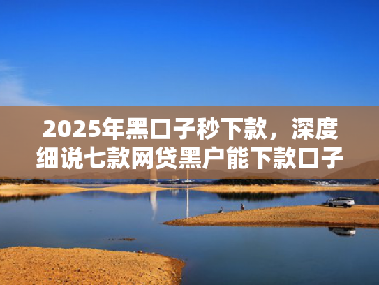 2025年黑口子秒下款，深度细说七款网贷黑户能下款口子