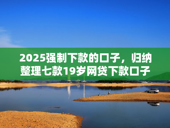 2025强制下款的口子，归纳整理七款19岁网贷下款口子