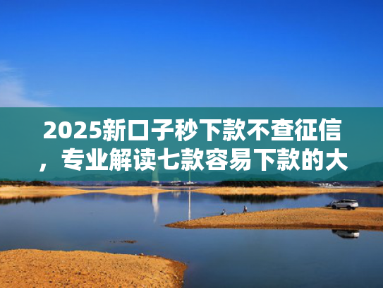 2025新口子秒下款不查征信，专业解读七款容易下款的大额网贷口子