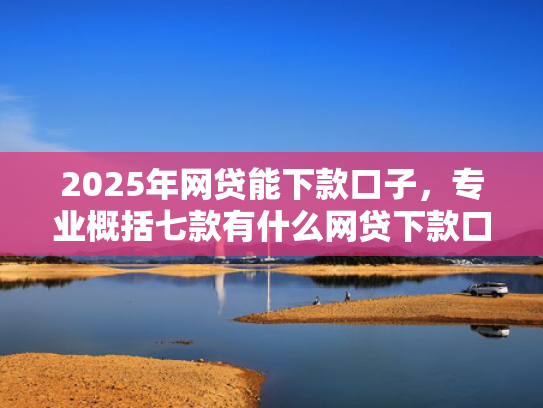 2025年网贷能下款口子，专业概括七款有什么网贷下款口子