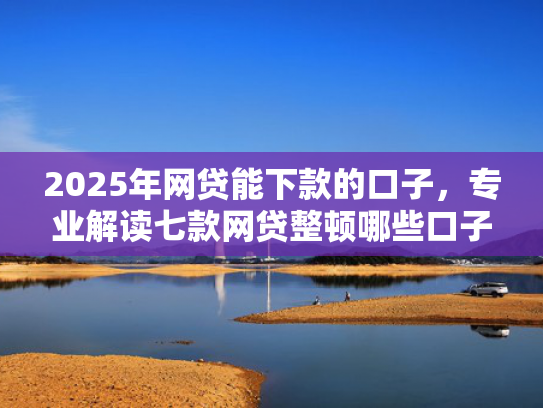 2025年网贷能下款的口子，专业解读七款网贷整顿哪些口子下款