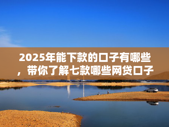 2025年能下款的口子有哪些，带你了解七款哪些网贷口子必下款