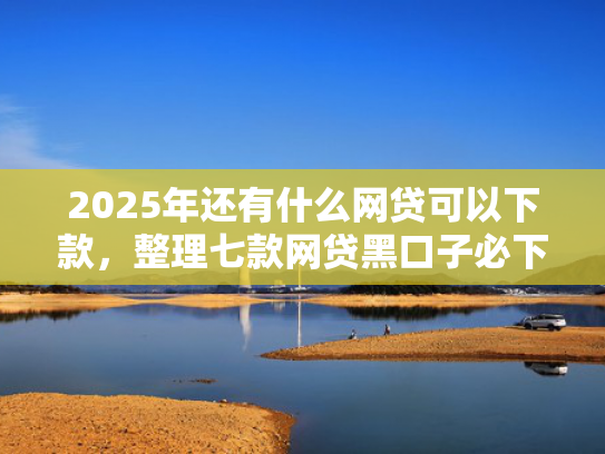 2025年还有什么网贷可以下款，整理七款网贷黑口子必下款