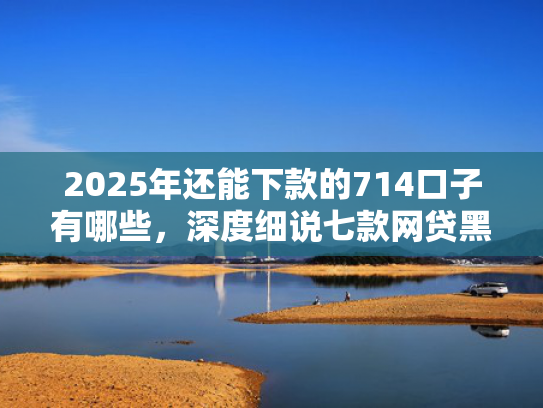 2025年还能下款的714口子有哪些，深度细说七款网贷黑户苹果下款口子