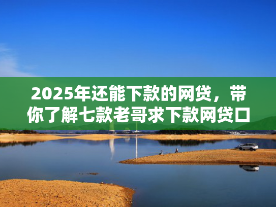 2025年还能下款的网贷，带你了解七款老哥求下款网贷口子