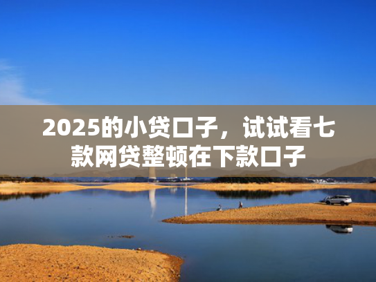 2025的小贷口子，试试看七款网贷整顿在下款口子