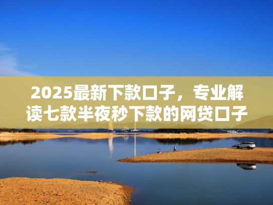 2025最新下款口子，专业解读七款半夜秒下款的网贷口子