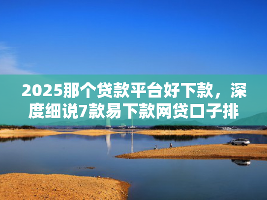 2025那个贷款平台好下款，深度细说7款易下款网贷口子排名