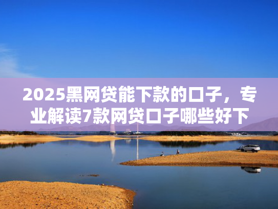 2025黑网贷能下款的口子，专业解读7款网贷口子哪些好下款