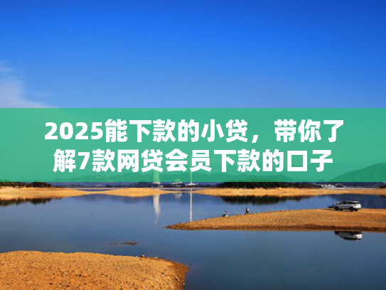 2025能下款的小贷，带你了解7款网贷会员下款的口子