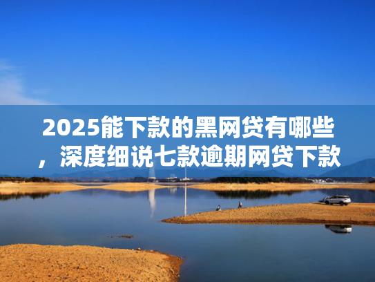 2025能下款的黑网贷有哪些，深度细说七款逾期网贷下款贷款口子