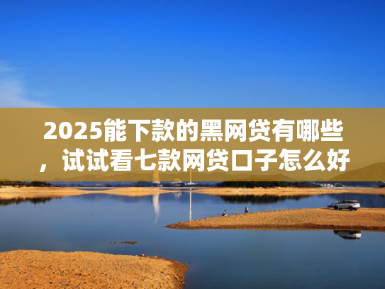 2025能下款的黑网贷有哪些，试试看七款网贷口子怎么好下款