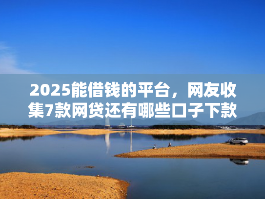 2025能借钱的平台，网友收集7款网贷还有哪些口子下款