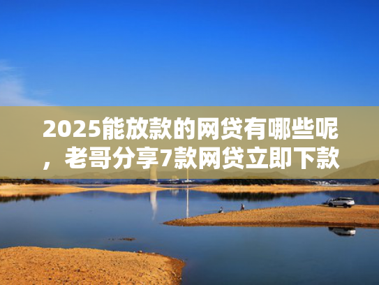 2025能放款的网贷有哪些呢，老哥分享7款网贷立即下款的口子