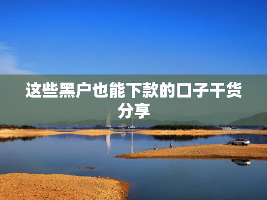 除了你我贷还有什么容易下款收集5款口子好下款