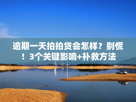 今日下款口子可以参考这5个新口子必下款2025