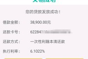 平台公司借钱协议到底有没有效？这些坑千万别踩！